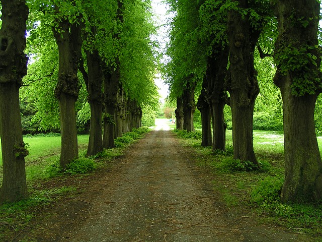Greenlanding Orebyslot 2009 050